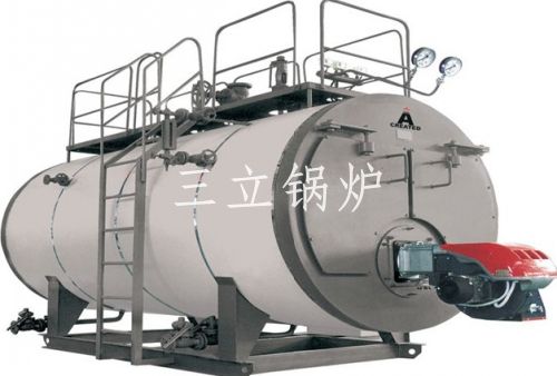 燃?xì)庹婵斟仩t